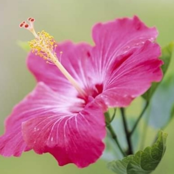 Welcome to my closet - Picture 1 of 1